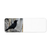 Étiquette Corbeau en attente (Devant)