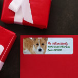 Étiquette Corgi Christmas Snow Photo Holiday Retour<br><div class="desc">Cette belle étiquette d'adresse de retour de Noël Corgi comporte une jolie photo d'hiver d'un chien de Corgi gallois Pembroke rouge et blanc avec une queue,  debout dans la neige à côté de l'élégante typographie verte et rouge pour vos lettres de vacances en famille.</div>