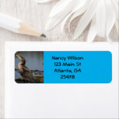 Étiquette Cormorant à double poitrine (En situation)