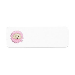 Étiquette Coton de Tulear Springtime Flower