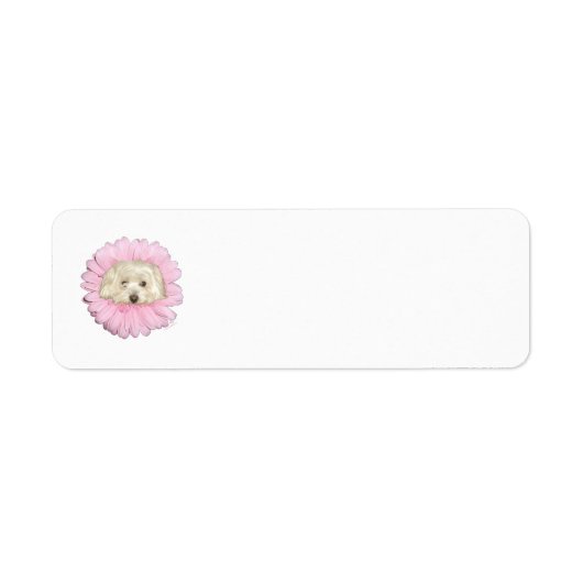 Étiquette Coton de Tulear Springtime Flower (Devant)