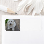 Étiquette coton sur banc (En situation)