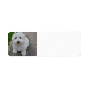 Étiquette coton sur le banc