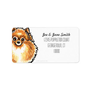 Étiquette Couleur orange de coutume de Pomeranian