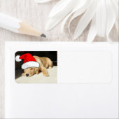 Étiquette Coupe Golden Retriever de Noël (En situation)