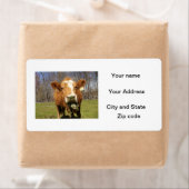 Étiquette Cow Shipping Labels (En situation)