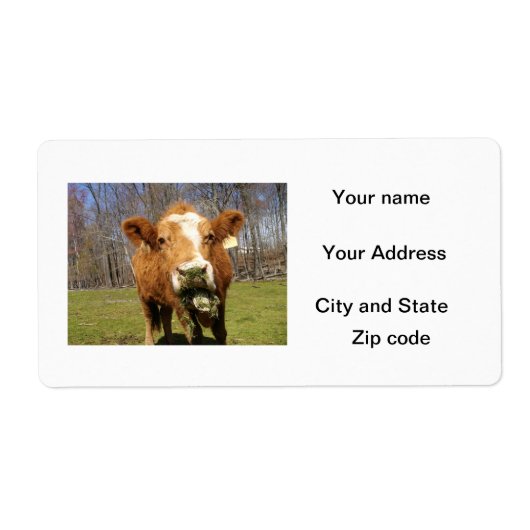 Étiquette Cow Shipping Labels (Devant)
