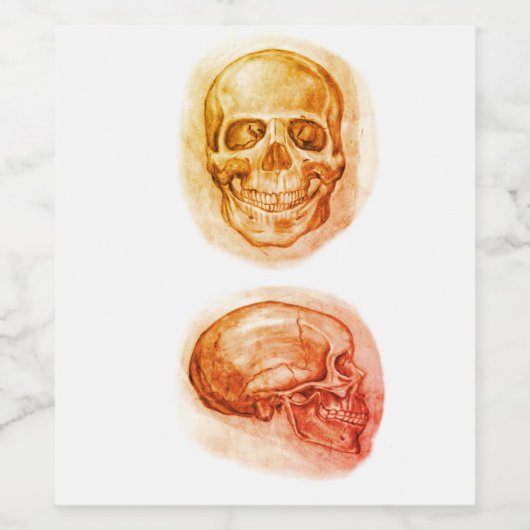 Étiquette crâne de l'étude graphique (Étiquettes simples)