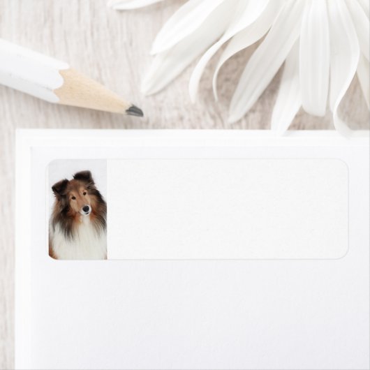 Étiquette Création de refuges (En situation)