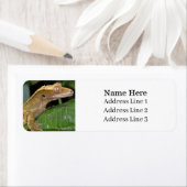 Étiquette Crested Gecko Lizard Adresse de retour (En situation)