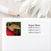 Étiquette Crested Gecko Lizard sur un Rose Adresse de retour (En situation)