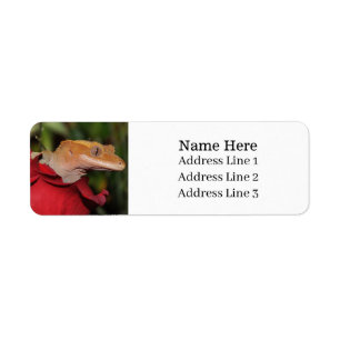 Étiquette Crested Gecko Lizard sur un Rose Adresse de retour