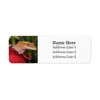 Étiquette Crested Gecko Lizard sur un Rose Adresse de retour