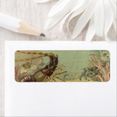 Étiquette Crevettes, faune marine sous-marine, animaux océan (En situation)