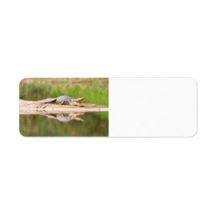 Étiquette Crocodile