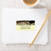 Étiquette Crotale dans le parc national de Shenandoah (En situation)