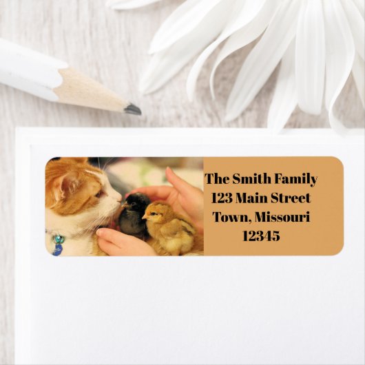 Étiquette Cubes (En situation)