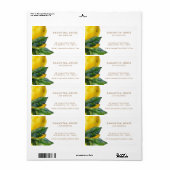 Étiquette Cuisine Moderne Minimaliste Citron (Feuille entière)