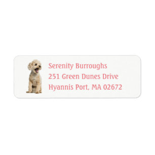 Étiquette Cute Amoureux des chiens chiot Apricot Miniature P