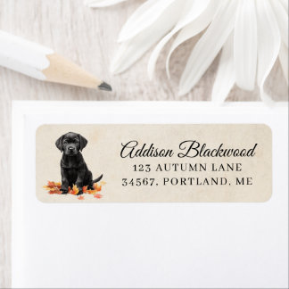 Étiquette Cute Black Labrador Puppy Fall Leaves Return