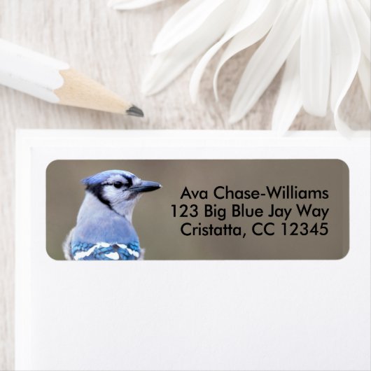 Étiquette Cute Bleu Jay Songbird sur Treestump (En situation)