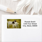 Étiquette Cute Boer Chèvres Personnaliser Adresse de retour (En situation)