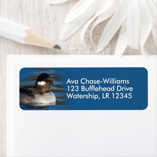 Étiquette Cute Bufflehead Duck à l'étang (En situation)