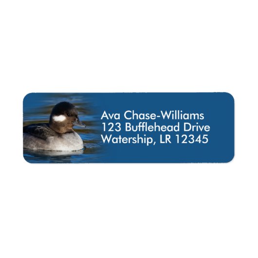 Étiquette Cute Bufflehead Duck à l'étang (Devant)