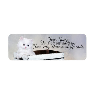 Étiquette Cute chaton persan blanc