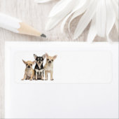 Étiquette Cute Chihuahuas (En situation)