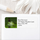 Étiquette Cute frog (En situation)