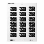 Étiquette Cute Funky Chat Noir Kitten Eyes croquis (Feuille entière)