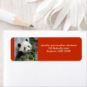 Étiquette Cute Giant Panda, Orange Adresse de retour (En situation)