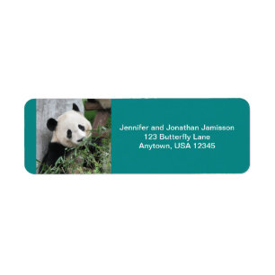 Étiquette Cute Giant Panda Ours, Turquoise, Adresse de retou