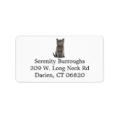 Étiquette Cute Gris Kitty Chat Lover Gris Kitten (Devant)