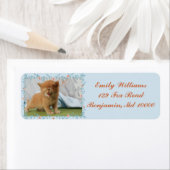 Étiquette Cute Kitten Bleu et orange (En situation)