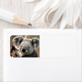 Étiquette Cute koala Ours (En situation)