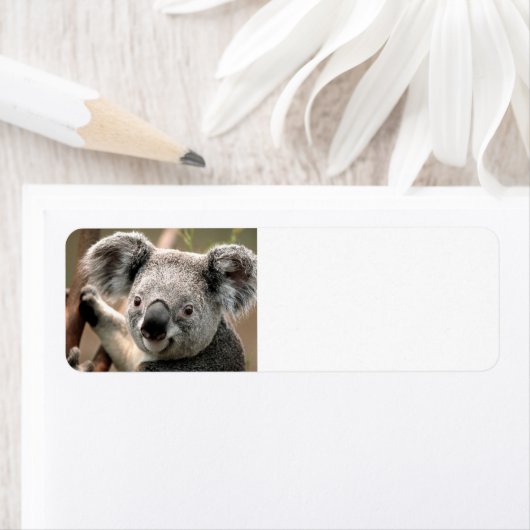 Étiquette Cute koala Ours (En situation)
