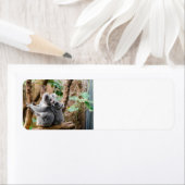 Étiquette Cute koala Ours avec bébé (En situation)