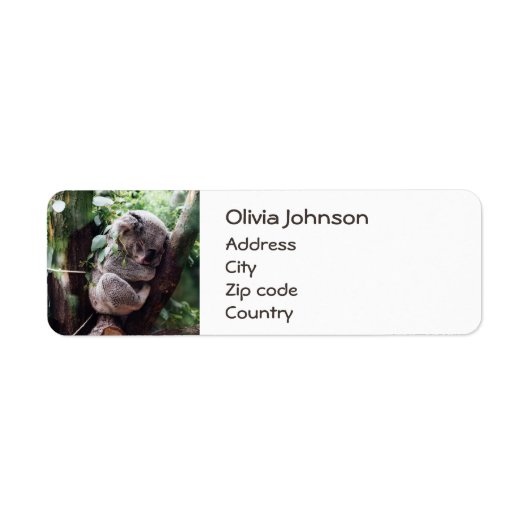 Étiquette Cute Koala Ours se relaxant dans un arbre (Devant)