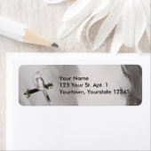 Étiquette Cute Lutino Cockatiel Bird Ivy Perch Animal (En situation)