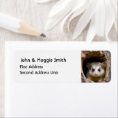 Étiquette Cute Oppossum Animal Nature Faune Art (En situation)