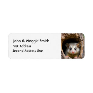 Étiquette Cute Oppossum Animal Nature Faune Art