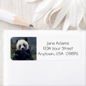 Étiquette Cute Ours Panda, Personnalisé (En situation)