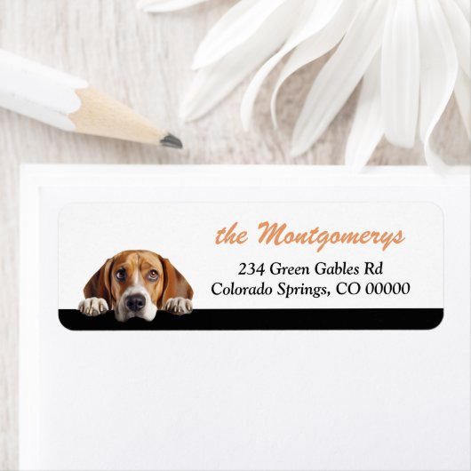 Étiquette Cute Peeking Beagle Dog Return Address (En situation)