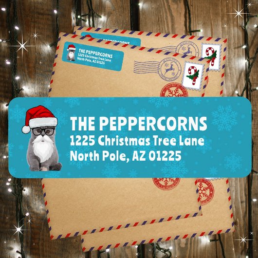 Étiquette Cute Père Noël Christmas Chat Turquoise Adresse de