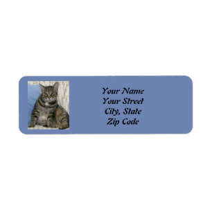 Étiquette Cute Tabby Chat Bleu