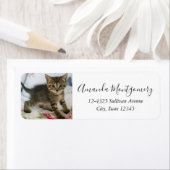 Étiquette Cute Tabby Kitten À L'Air Surpris (En situation)