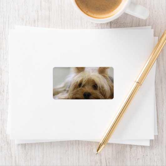 Étiquette Cute Yorkie (En situation)