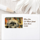 Étiquette Cutie (En situation)